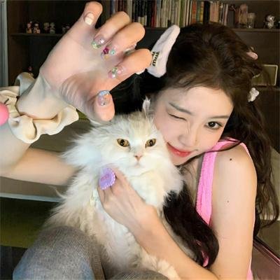 猫与苍蝇